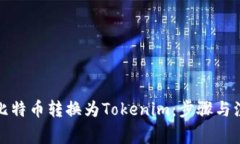 如何将比特币转换为Tokenim：步骤与注意事项