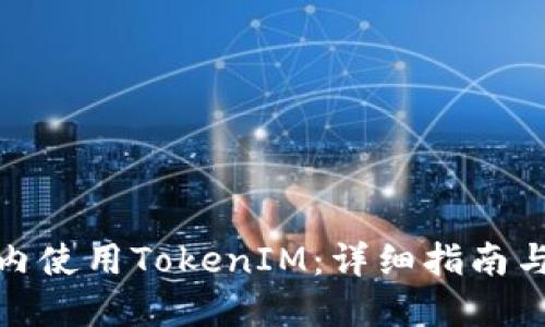 如何在国内使用TokenIM：详细指南与应用探讨