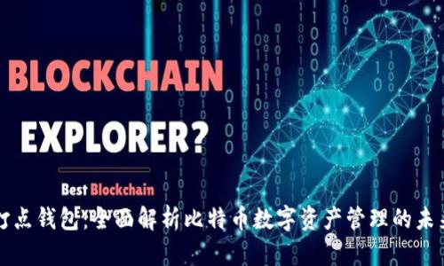 打点钱包：全面解析比特币数字资产管理的未来