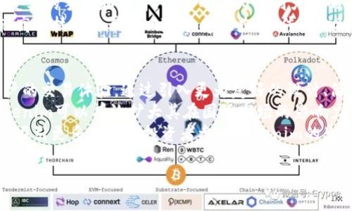   Tokenim在国外的普及程度分析 / 
 guanjianci Tokenim, 国际市场, 数字货币, 区块链技术 /guanjianci 

随着数字货币和区块链技术的不断发展，Tokenim作为一种新兴的数字金融工具，逐渐引起了全球用户的关注和使用。然而，不同国家和地区的用户对Tokenim的接受程度和使用频率是有所不同的。本文将深入探讨Tokenim在国外的使用情况，包括其市场规模、用户特征、竞争对手的影响，以及未来的发展前景。

Tokenim的市场规模
近年来，全球数字货币市场的规模不断扩大，尤其是比特币、以太坊等主流币种的兴起，使得越来越多的人开始关注和投资数字资产。在这样的市场背景下，Tokenim作为一种基于区块链的数字货币，也逐渐找到了自己的市场定位。
根据最新的市场研究报告，Tokenim在多个国家和地区的用户数量正呈现上升趋势。尤其是在北美、欧洲和部分亚太地区，Tokenim的注册用户数量增长显著。这些地区的用户普遍对新兴技术持开放态度，并且对数字金融工具的使用也更加频繁。
如美国和加拿大等国家，越来越多的金融服务平台开始支持Tokenim的交易，进一步推动了其在当地市场的普及。与之相比，某些国家由于政策限制或市场教育不足，Tokenim的应用场景较为有限，用户基数相对较小。

Tokenim用户特征
Tokenim的用户主要分为两大类：一部分是科技爱好者，他们热衷于新技术的探索与应用；另一部分则是投资者，他们希望通过Tokenim获得更高的回报。因此，Tokenim用户的特征具有一定的多样性。
首先，科技爱好者通常是年轻群体，他们对区块链技术、去中心化金融（DeFi）等概念有相对深入的理解。他们使用Tokenim的目的不仅仅是为了投资，更是为了体验新技术带来的便利。例如，部分用户利用Tokenim进行跨境支付，享受其低廉的手续费和快速的交易确认时间。
相对而言，投资者对Tokenim的关注主要集中在其价值波动上，希望通过波动获取投资收益。此类用户通常会关注市场行情，并运用技术分析等手段来指导自己的交易决策。他们的活跃程度和投资策略往往直接影响Tokenim在市场上的表现。

竞争对手的影响
Tokenim在国外市场的竞争十分激烈，许多其他数字货币和金融产品都在争夺同一用户群体。与Tokenim同类型的产品有着各自的优势和特点，对Tokenim产生了不同程度的影响。
例如，以太坊（Ethereum）作为较早的智能合约平台，吸引了大量的开发者和用户。虽然Tokenim拥有自身的特色，但在用户习惯上，很多人仍然倾向于使用已经普及的以太坊进行交易和开发。
此外，一些传统金融机构也开始推出数字资产管理服务，这为Tokenim带来了新的挑战。用户可能会因为对传统品牌的信任而选择这些已知的金融服务，因此Tokenim需要在用户教育和市场推广方面加大投入，以提高自己的市场认知度。

Tokenim的未来发展前景
尽管面临不少竞争压力，但Tokenim在国外市场的未来发展依然可期。首先，随着区块链技术的进一步成熟，Tokenim有望扩展其应用场景。例如，一些不同行业（如供应链管理、数字身份等）都可以整合Tokenim的解决方案，增加其使用价值。
其次，全球数字支付的趋势正在加速，越来越多的商家和消费者接受数字货币作为支付手段，有助于提升Tokenim的流通性。此外，Tokenim的官方网站和用户社区也可以进一步加强用户体验与互动，为用户提供更好的服务。
最后，随着监管政策的成熟，Tokenim将可以在合规的框架内发展，吸引更多的机构投资者参与，从而推动其进一步普及。

可能相关问题回答

1. Tokenim的安全性如何？
在数字货币的世界中，安全性始终是用户关注的重点。这不仅关乎用户的资产安全，也对Tokenim的生存与发展形成直接影响。Tokenim的安全性主要体现在其技术架构、安全协议和用户教育等方面。
首先，Tokenim采用了先进的区块链技术，所有交易都在去中心化的网络中进行，降低了黑客攻击的风险。由于区块链技术的透明性和不可篡改特性，用户可以随时查看自己的交易记录并验证其真实性。
其次，Tokenim在安全协议方面不断完善，定期进行安全审计，并通过多重签名、冷存储等手段保护用户资产。同时，Tokenim平台针对用户设置交易限额、提现确认等安全措施，降低误操作带来的风险。
然而，仅靠技术手段的保护并不足以确保安全，用户的安全意识同样至关重要。Tokenim积极开展用户教育，向用户普及如何安全使用数字货币的知识，帮助用户防范诈骗和盗窃，从而增强整体安全性。

2. 如何在国外使用Tokenim进行交易？
在国外使用Tokenim进行交易的步骤并不复杂，但在此之前，用户需要了解目标国家的相关法规和市场情况。以下是一般的交易步骤：
首先，用户需在能够支持Tokenim的交易平台上注册账户。这些平台可能是专注于数字货币交易的交易所，或者是具有多种金融产品的综合性金融服务平台。
注册完成后，用户需要完成身份验证，以满足当地的法律法规。完全验证后，用户即可通过平台进行Tokenim的交易。在交易过程中，用户可以选择现货交易、合约交易或其他金融产品，具体操作依据平台规则而定。
此外，用户还需关注交易费用、提现时间等问题，选择适合自己的交易策略和风险管理措施。建议用户在交易前进行充分的市场分析与研究，以制定合理的投资组合。

3. Tokenim与传统金融产品有什么区别？
Tokenim与传统金融产品的区别在于其架构、运作方式和目标用户群体等方面。首先，从架构上看，Tokenim基于区块链技术，不同于传统金融产品依赖于中央化的金融机构。传统金融产品需通过银行中介来进行资金流转，而Tokenim的数据在整个网络中共享，再无中介的环节。
其次，在运作方式上，Tokenim通常具有更高的透明性和开放性，用户可以随时查看交易记录和资金流动。而传统金融产品则可能涉及复杂的手续和条件，用户的行为受到严格的监管。
最后，Tokenim的目标用户主要集中在数字资产投资者和科技爱好者，而传统金融产品则面向广泛的大众。Tokenim的用户往往具有较高的技术素养和风险承受能力，而传统金融产品则更适合风险厌恶型投资者。

4. Tokenim未来的发展方向是什么？
Tokenim的未来发展方向主要集中在提升用户体验、扩展应用场景和加强市场合作。首先，Tokenim需要持续其平台操作界面，提升用户的交易体验。通过引入更为友好的设计、简化操作流程，Tokenim可以吸引更多新用户。
其次，Tokenim应积极探索更多的应用场景，例如跨境支付、数字身份认证、资产管理等领域。通过与不同领域的合作伙伴建立关系，Tokenim可以有效扩大其在国际市场的影响力。
最后，随着监管环境的日益成熟，Tokenim需要加强合规性建设，确保用户在合法框架内进行交易。这不仅有助于提高用户信任度，还将吸引更多的机构投资者参与Tokenim的生态。通过这些努力，Tokenim能够在日益竞争激烈的数字货币市场上占据一席之地。

综上所述，Tokenim在国外的使用情况正在不断发展，尽管面临一定的挑战，但凭借其技术优势和市场需求，未来仍具有很大的增长潜力。