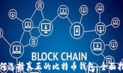 如何选择真正的比特币钱包：全面指南