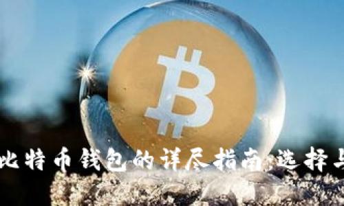 官方比特币钱包的详尽指南：选择与使用