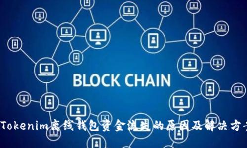  Tokenim离线钱包资金流失的原因及解决方案