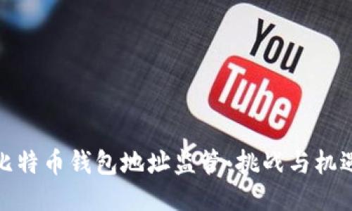 比特币钱包地址监管：挑战与机遇