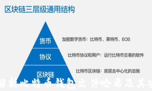 
深入解析比特币钱包文件哈希及其安全性