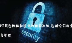 在这篇文章中，我们将深入探讨瑞波币（XRP）钱