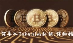 如何导入Tokenim私钥：详细指南