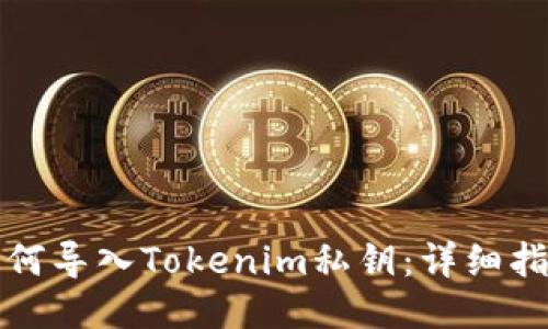如何导入Tokenim私钥：详细指南