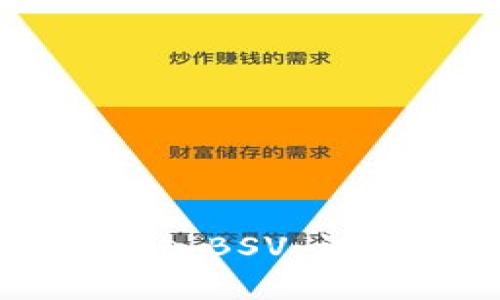IM钱包如何高效存入BSV：详尽指南及操作步骤