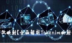 Tokenim如何做映射？全面解析Tokenim映射的机制与应