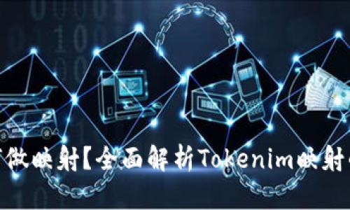 Tokenim如何做映射？全面解析Tokenim映射的机制与应用