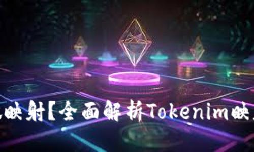 Tokenim如何做映射？全面解析Tokenim映射的机制与应用