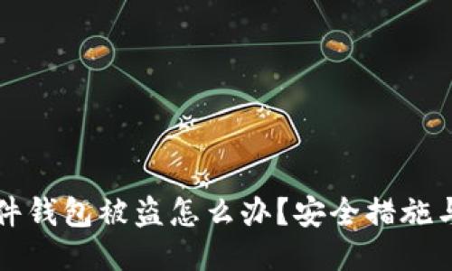比特币硬件钱包被盗怎么办？安全措施与防护指南