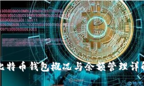 比特币钱包概况与余额管理详解