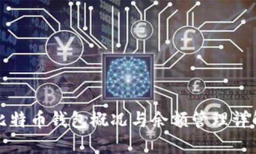 比特币钱包概况与余额管理详解