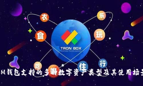 IM钱包支持的多种数字资产类型及其使用场景