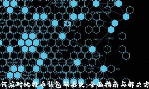 
如何应对比特币钱包码丢失：全面指南与解决方法