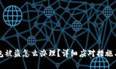 比特币钱包被盗怎么办理？详细应对措施与风险