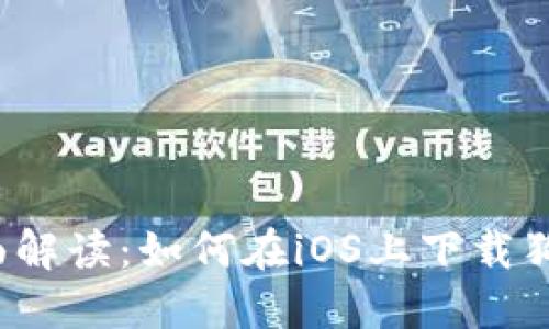优质 全面解读：如何在iOS上下载狗狗币钱包