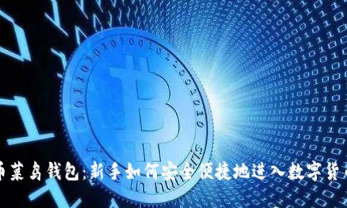 比特币菜鸟钱包：新手如何安全便捷地进入数字货币世界