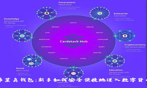 比特币菜鸟钱包：新手如何安全便捷地进入数字货币世界