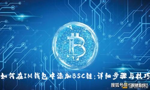 如何在IM钱包中添加BSC链：详细步骤与技巧