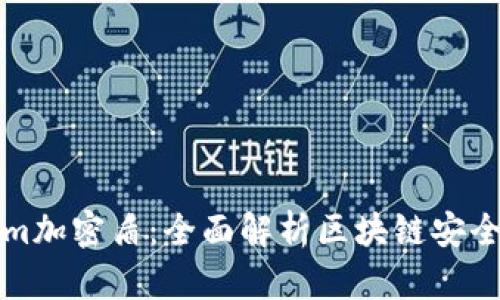 Tokenim加密盾：全面解析区块链安全的未来