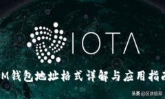 IM钱包地址格式详解与应用指南
