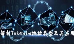 深入解析Tokenim地址类型及其应用场景