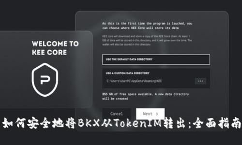 如何安全地将BKX从TokenIM转出：全面指南