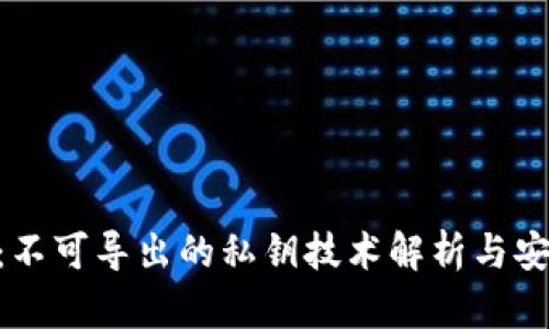 TokenIM：不可导出的私钥技术解析与安全性探讨