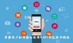 苹果用户如何安全使用USDT钱包操作指南