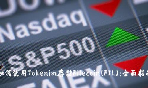 如何使用Tokenim存储Filecoin(FIL)：全面指南