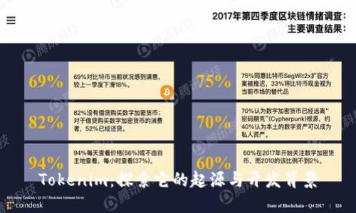 Tokenim：探索它的起源与开发背景