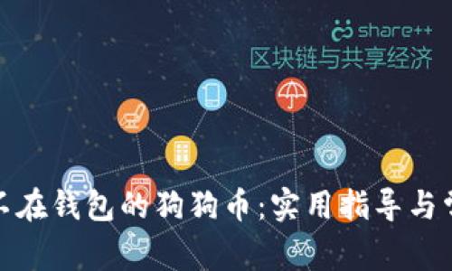 : 如何找回不在钱包的狗狗币：实用指导与常见问题解析