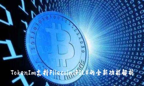 TokenIm支持Filecoin（FIL）的全新功能解析
