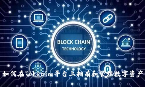 如何在Tokenim平台上拥有和管理数字资产