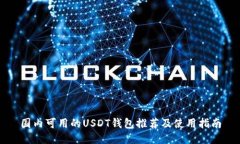 国内可用的USDT钱包推荐及使用指南