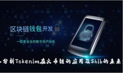 深入分析Tokenim在火币链的应用及Shib的未来发展