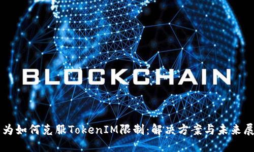 华为如何克服TokenIM限制：解决方案与未来展望