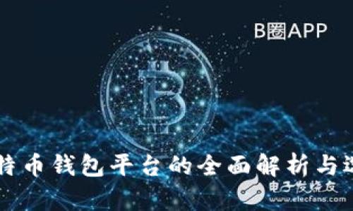 中国比特币钱包平台的全面解析与选择指南