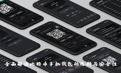 全面解读比特币手机钱包的选择与安全性