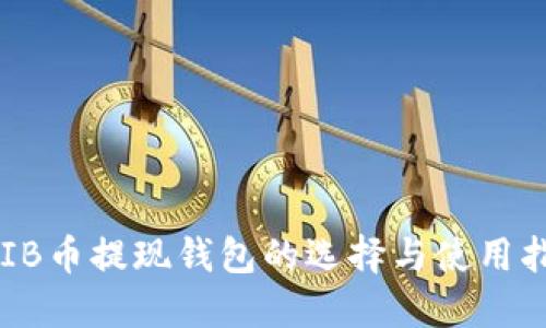 SHIB币提现钱包的选择与使用指南