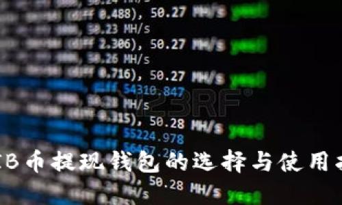 SHIB币提现钱包的选择与使用指南
