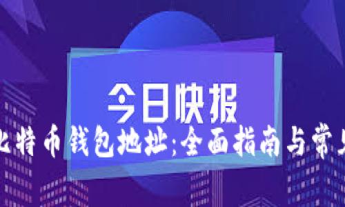 如何查看比特币钱包地址：全面指南与常见问题解答