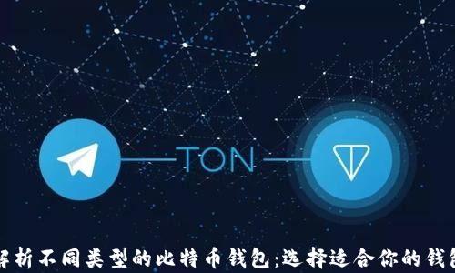
全面解析不同类型的比特币钱包：选择适合你的钱包类型