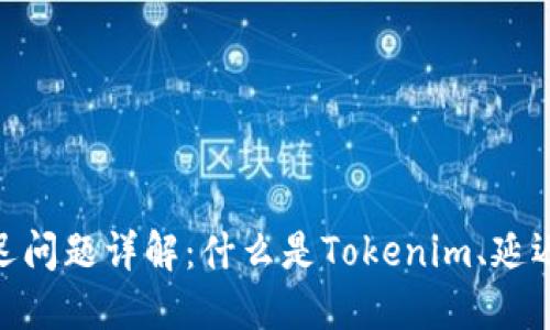 ### Tokenim延迟问题详解：什么是Tokenim、延迟的原因及解决方案