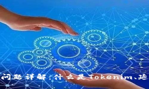### Tokenim延迟问题详解：什么是Tokenim、延迟的原因及解决方案