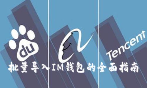 批量导入IM钱包的全面指南