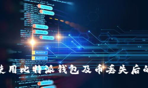 如何安全使用比特派钱包及币丢失后的应对措施